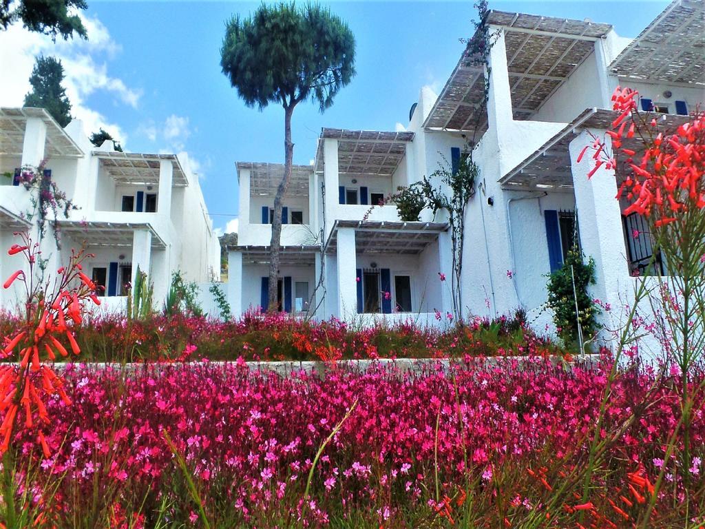 Villa Sunset Mavi Turgutreis Exterior foto